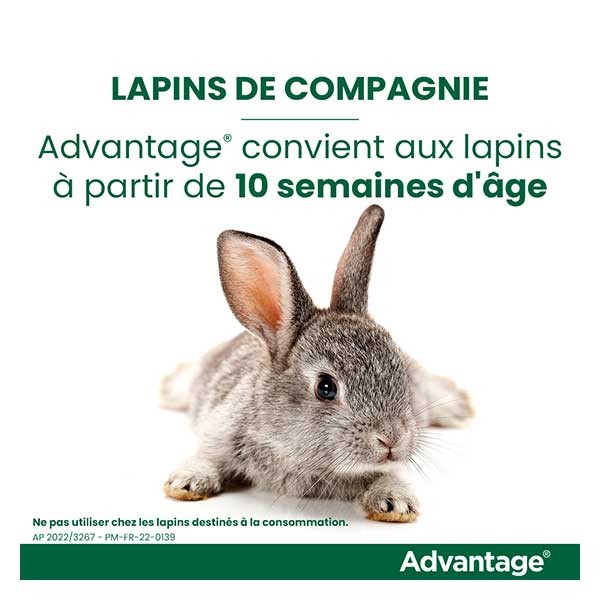 Advantage Solution Antipuce Chat Lapin +4kg 4 pipettes