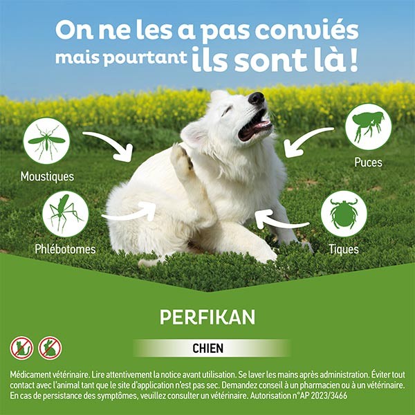 Solution antiparasitaire chiens 10 à 20 kg Perfikan Clément Thékan - 4  pipettes