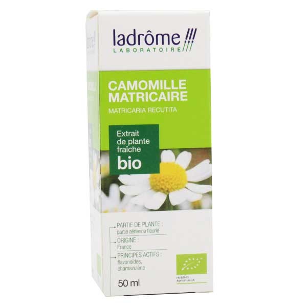 Camomille Romaine ou Camomille Matricaire ?