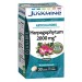 Juvamine Harpagophytum 2000mg 30 comprimés